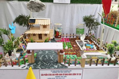 HỌC SINH TIỂU HỌC CỘNG HÒA TỰ TIN TỎA SÁNG TẠI NGÀY HỘI STEM, SÁNG TẠO NGHỆ THUẬT; CUỘC THI VIẾT ĐÚNG – VIẾT ĐẸP DÀNH CHO HỌC SINH TIỂU HỌC CẤP TỈNH, NĂM HỌC 2025-2026
